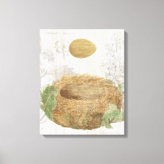 Een vogelnest met bruine eieren canvas afdruk (Voorkant)