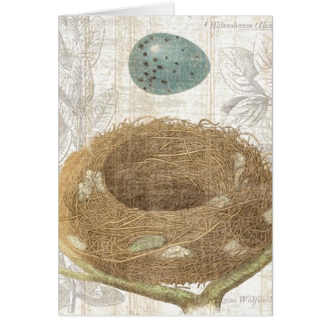 Een vogelnest met een decoratieve eieren (Voorkant)