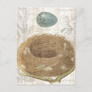 Een vogelnest met een decoratieve eieren briefkaart