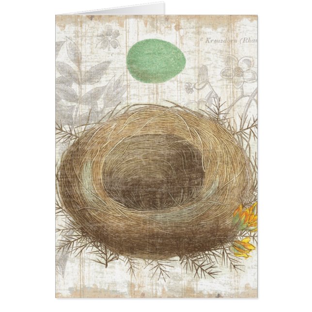 Een vogelnest met een groene eieren (Voorkant)