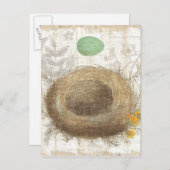 Een vogelnest met een groene eieren briefkaart (Voorkant / Achterkant)