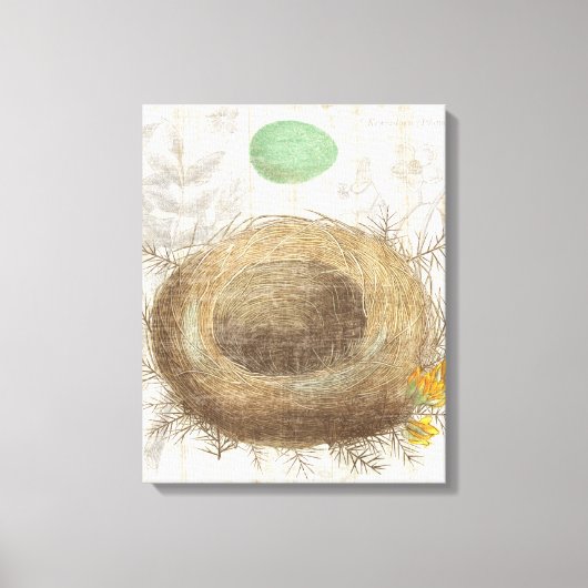 Een vogelnest met een groene eieren canvas afdruk (Voorkant)