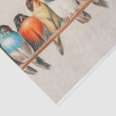 Een vogelpest door Hector Giacomelli Tissuepapier (Detail)