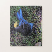 Een vogel's Uitzicht van een stellerpot op het gra Legpuzzel (Verticaal)