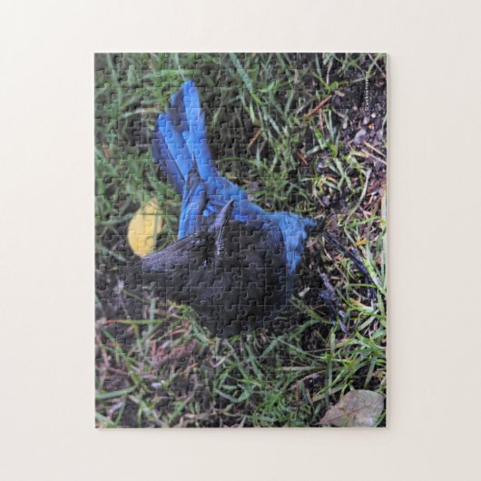 Een vogel's Uitzicht van een stellerpot op het gra Legpuzzel (Verticaal)