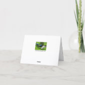 "Een vogeltje vertelde me ..." Pauw Kaart (Achterkant)