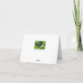 "Een vogeltje vertelde me ..." Pauw Kaart (Achterkant)