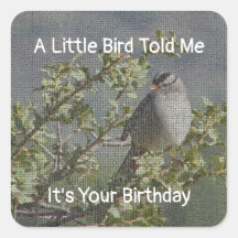 Een Vogeltje Vertelde Me Verjaardagswensen
