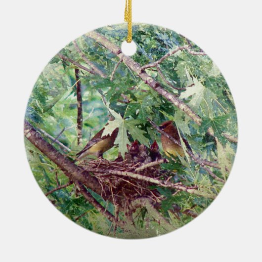 Een volledige nest, ouders en Baby vogels Keramisch Ornament (Achterkant)