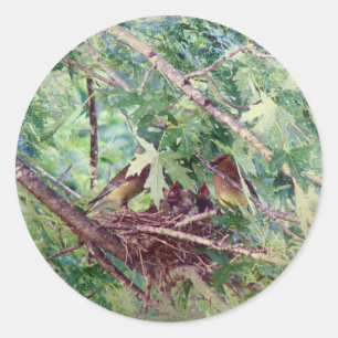 Een volledige nest, ouders en Baby vogels Ronde Sticker