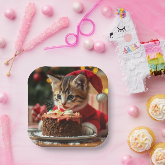 Een volmaakte kerstwens papieren bordje (Feest)