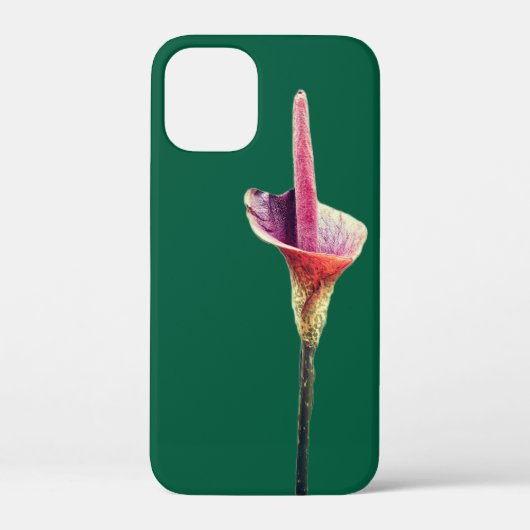 Een voodoo-lelie bloem Case-Mate iPhone case (Achterkant)