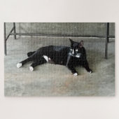 Een vooraanstaand kattenpuzzel met een tuxedo legpuzzel (Horizontaal)