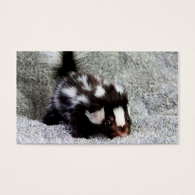 Een voorbijgaande vreemdekaart visitekaartjes (Voorkant)