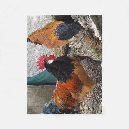Een Vorwerks Chicken pair, Rooster en Hen Eating Fleece Deken (Voorkant)