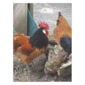Een Vorwerks Chicken pair, Rooster en Hen Eating Tafelkleed (Voorkant)