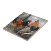 Een Vorwerks Chicken pair, Rooster en Hen Eating Tegeltje (Zijkant)