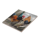 Een Vorwerks Chicken pair, Rooster en Hen Eating Tegeltje (Zijkant)