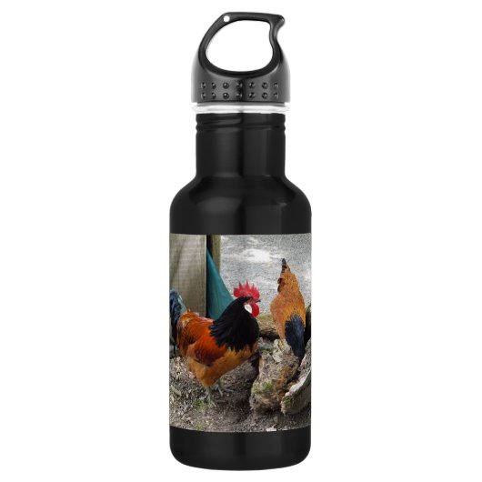 Een Vorwerks Chicken pair, Rooster en Hen Eating Waterfles (Voorkant)