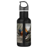 Een Vorwerks Chicken pair, Rooster en Hen Eating Waterfles (Achterkant)