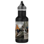 Een Vorwerks Chicken pair, Rooster en Hen Eating Waterfles (Rechts)