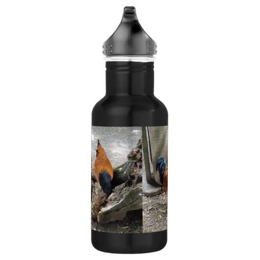 Een Vorwerks Chicken pair, Rooster en Hen Eating Waterfles (Rechts)