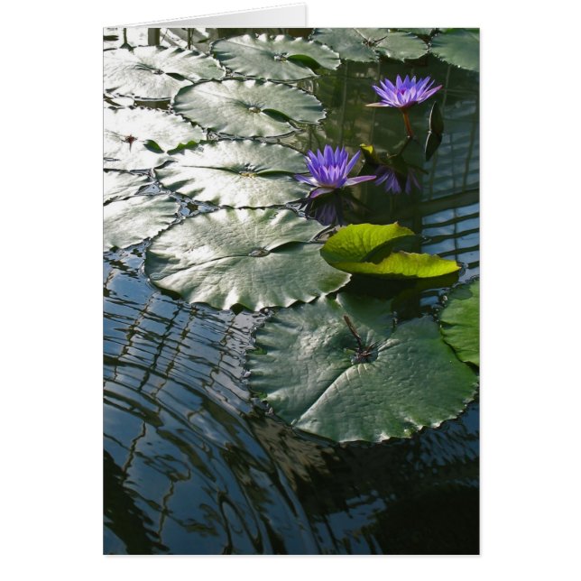 Een vredeskaart vinden (Voorkant)