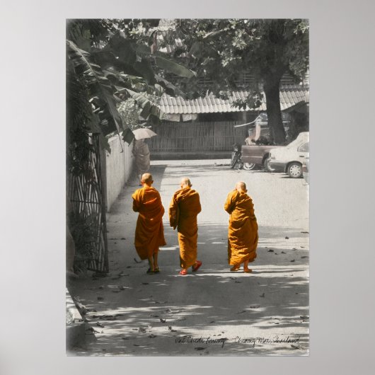Een vreedzame rol poster (Voorkant)