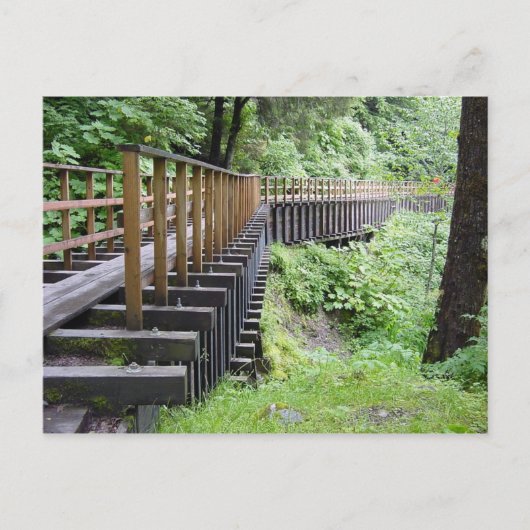 Een vreedzame wandeling briefkaart (Voorkant)