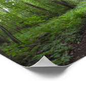 Een vreedzame wandeling in Bos Poster (Hoek)