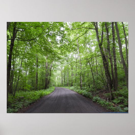 Een vreedzame wandeling in Bos Poster (Voorkant)