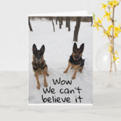 EEN VRIEND EN IK ZEGGEN "GELUKKIGE VERJAARDAG" DIE KAART (Gele Bloem)