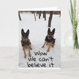 EEN VRIEND EN IK ZEGGEN "HAPPY BIRTHDAY" VETERINAR KAART