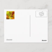 Een vriend is iemand die de zoon kent... briefkaart (Achterkant)