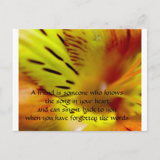 Een vriend is iemand die de zoon kent... briefkaart (Voorkant)