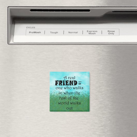 Een vriend is Magnet (Insitu (Vaatwasser))