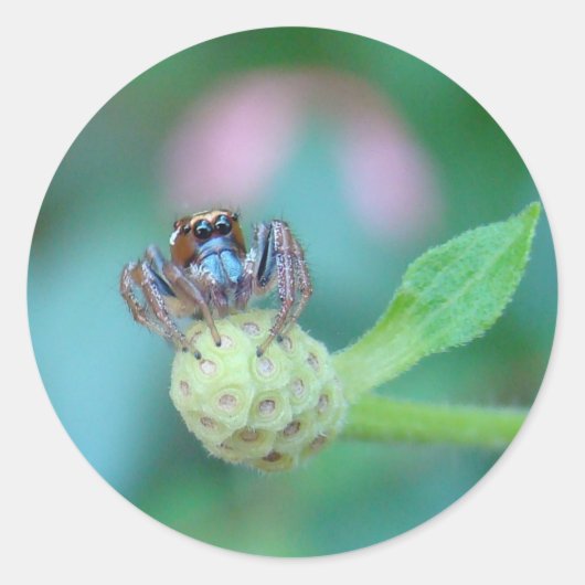 Een vriend voor Jumping Jack! Ronde Sticker (Voorkant)