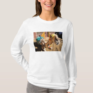 Een vriendelijke kameel wacht op zijn volgende ber t-shirt