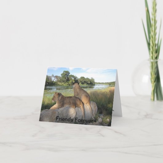 Een vriendschappelijke Kaart (Voorkant)