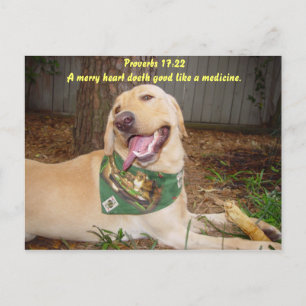 Een vrolijk hart doet het goed als een medicijn. briefkaart