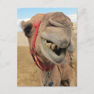 Een vrolijk kamp briefkaart