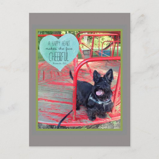 Een vrolijke Smile Post Kaart (Voorkant)