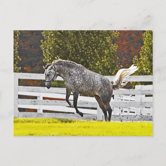 Een vrolijke sprong briefkaart (Voorkant)