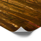 Een vrouw die met een hond op een herfst ochtendpo poster (Hoek)