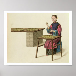 Een vrouw die thee voorbereidt, bord 21 uit 'The C Poster