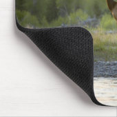 Een vrouw elk kijkt naar de camera met een muismat (Hoek)