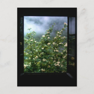 EEN VROUW IN HOOP BRIEFKAART