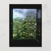 EEN VROUW IN HOOP BRIEFKAART (Voorkant)