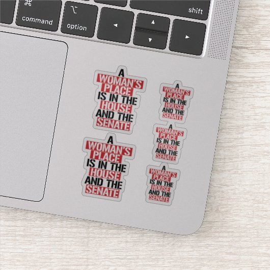 Een vrouw is thuis en de senaat sticker (Detail)