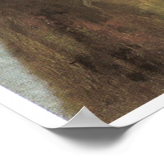 Een vrouw met Chrysanthema, Edgar Degas. Poster (Hoek)